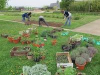 conception jardin rabat